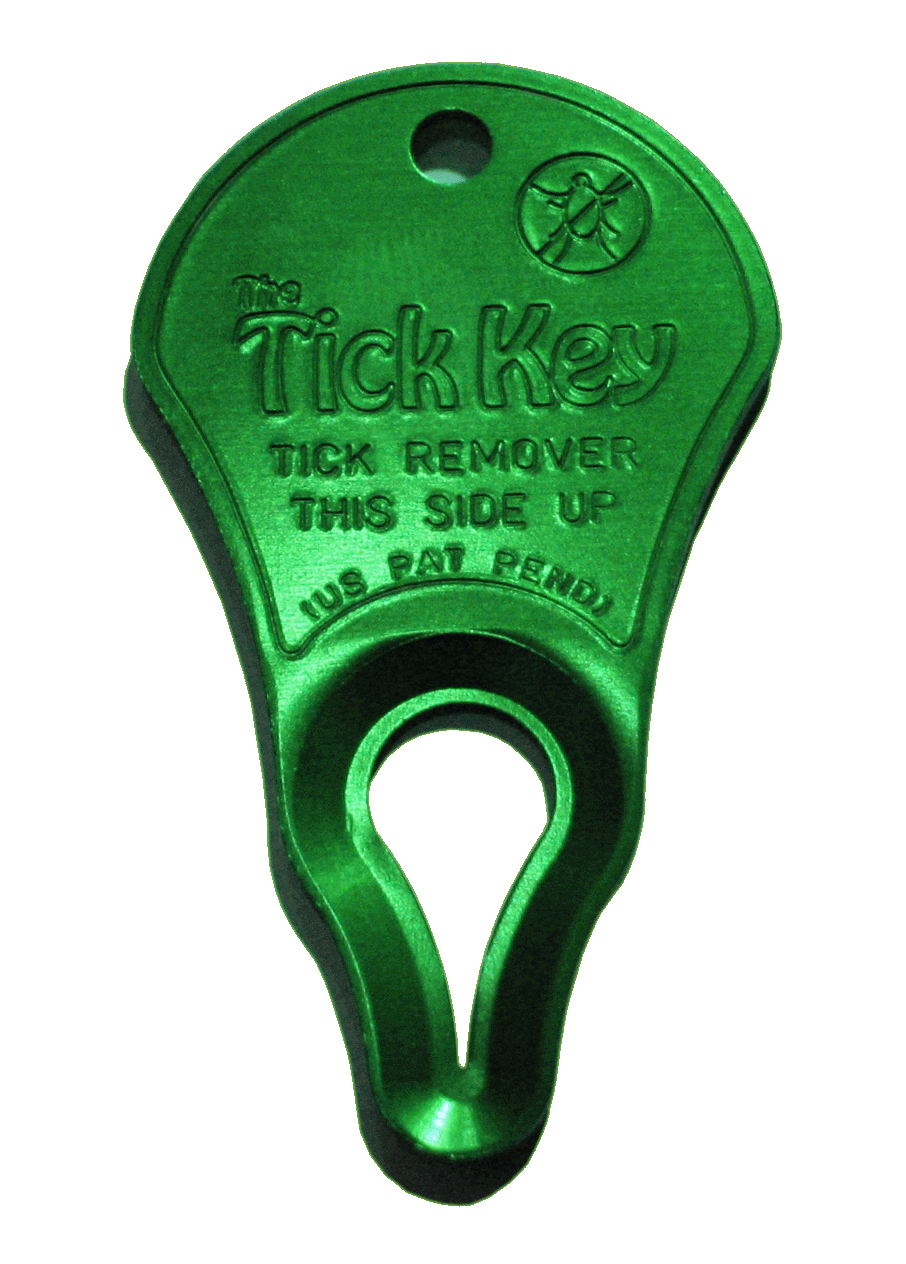 The Original Tick Key Easiest To Use Tick Removal Device On Earth! Choose Colour - Picture 13 of 36