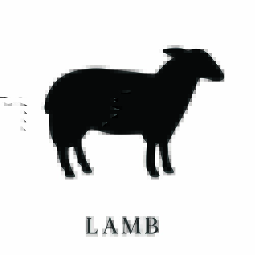 Back Country Lamb Dices Large Bulk Pack 550g
