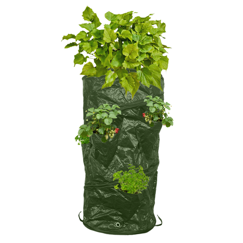 Strawberry and Potato Planter Grow Bag 60x30cm
