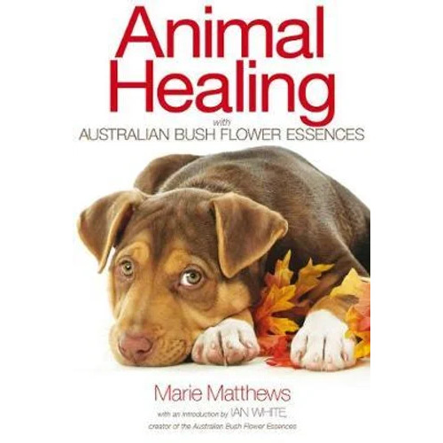 First Aid for Pets – Detailed Pet First Aid Kits for AU Conditions First Aid for Pets – Detailed Pet First Aid Kits for AU Conditions