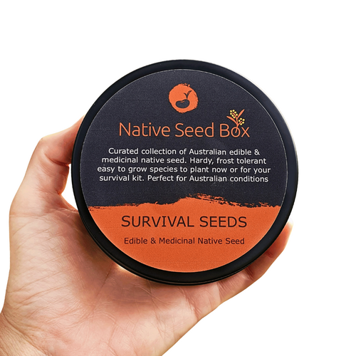 Native Edible & Medicinal Seed Tin